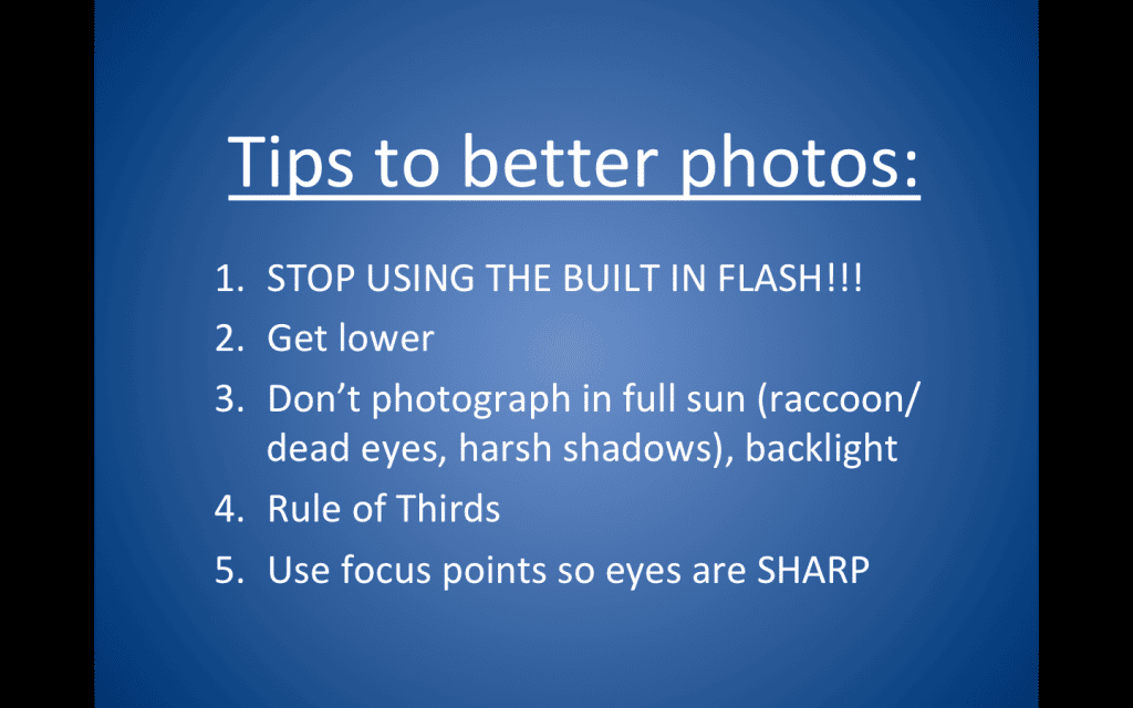 how to take better pictures