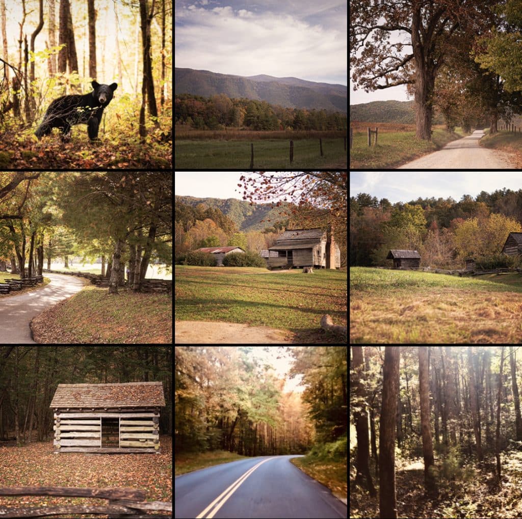 senior pictures in the smoky mountains